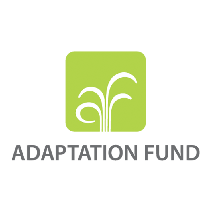 Adaptation Fund (AF)